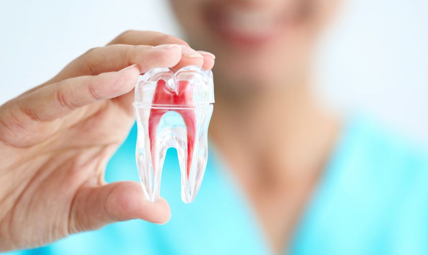 How To Prepare For A Painless Root Canal Experience